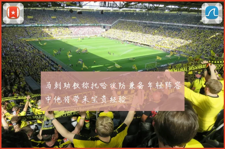 马刺助教称托哈攻防兼备年轻阵容中他将带来宝贵经验