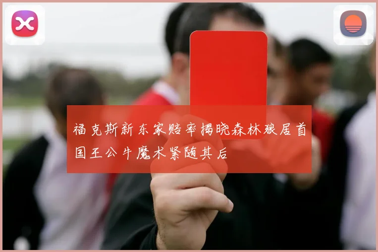 福克斯新东家赔率揭晓森林狼居首国王公牛魔术紧随其后